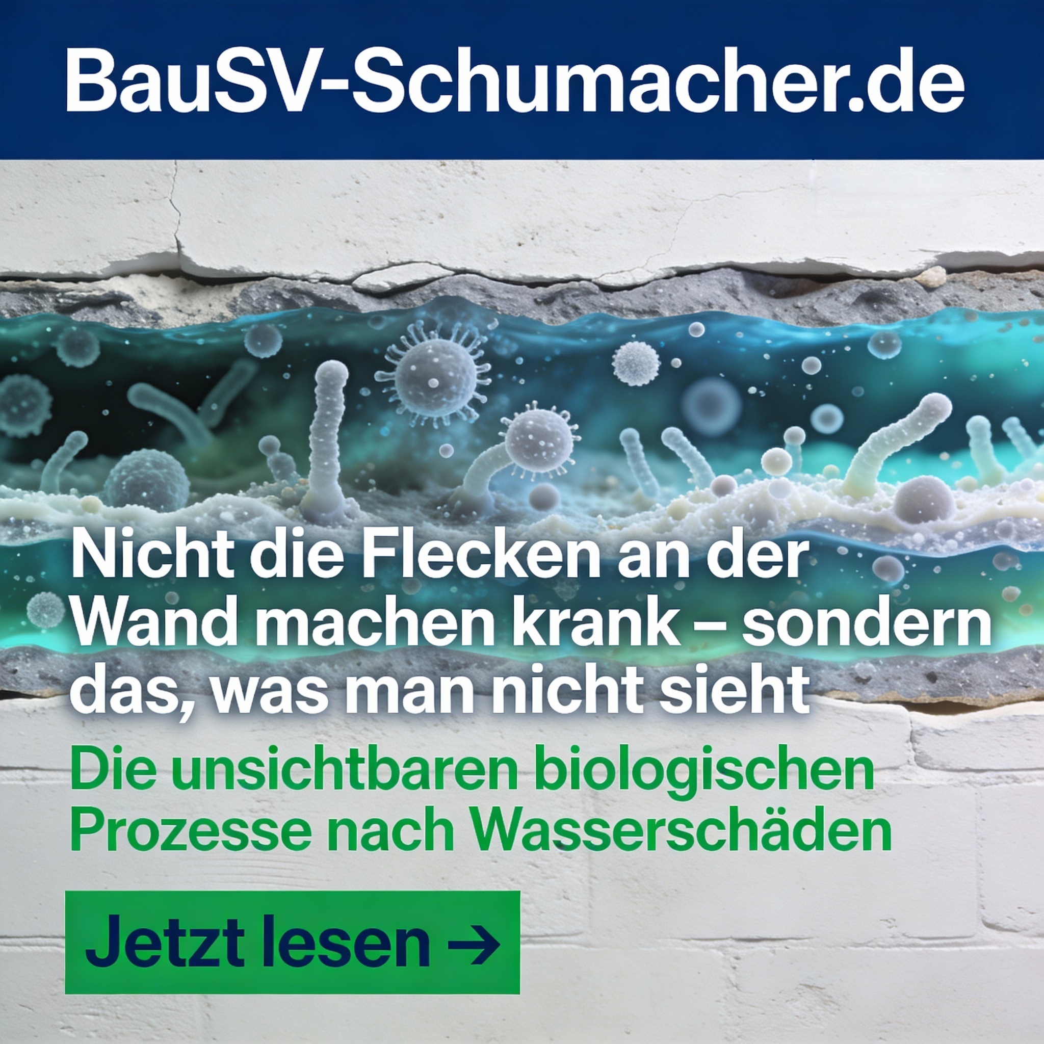 Bausachverständigenbüro Dierk Schumacher