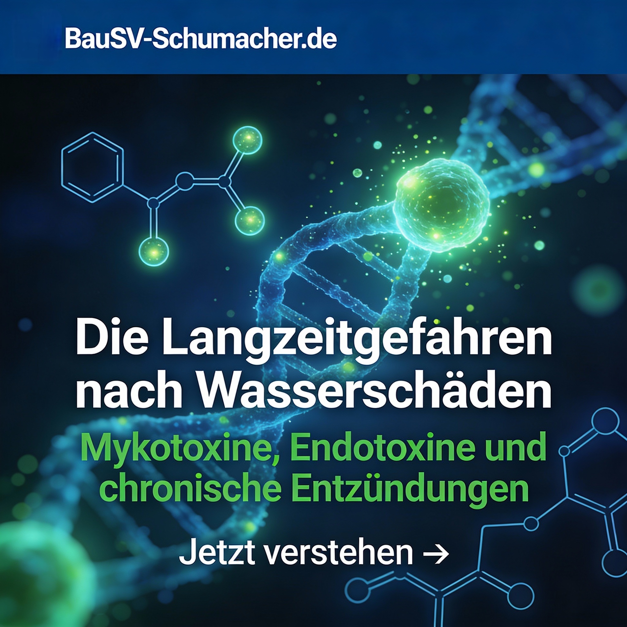 Bausachverständigenbüro Dierk Schumacher